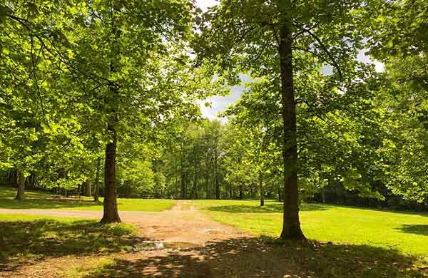 ocoee river tent campground